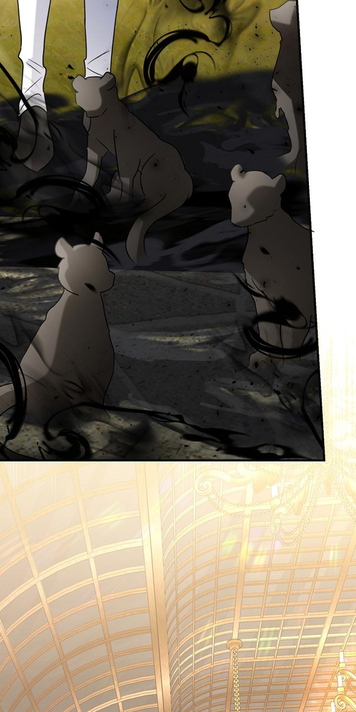 黑豹配偶超棘手漫画在哪里看漫画,第46章：去道歉吧1图