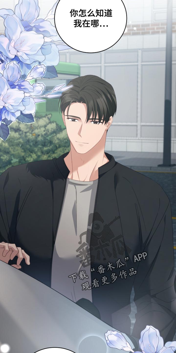 向导没了怎么办漫画,第42章：你怎么知道我在哪5图