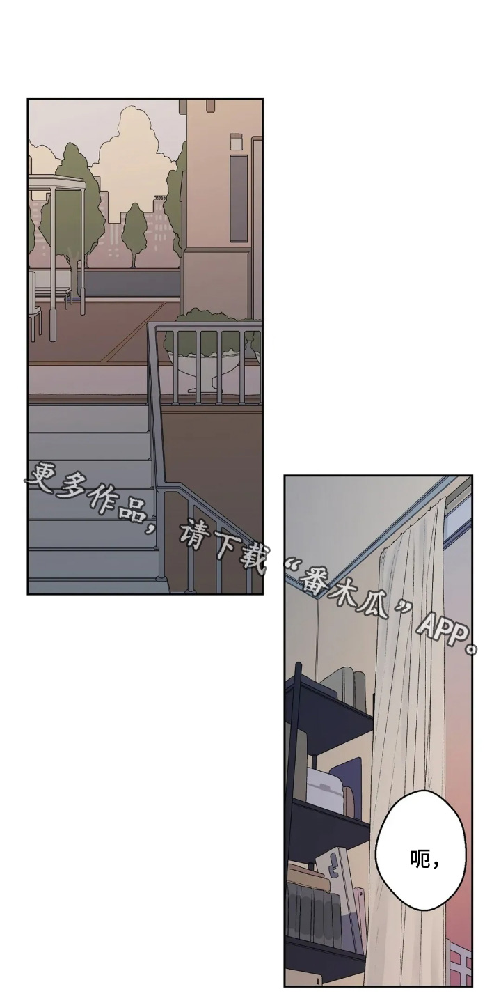 邻夏物语漫画,第38章：先道歉1图