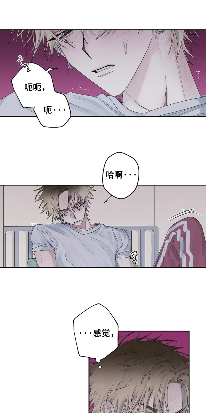 邻夏物语漫画,第38章：先道歉2图