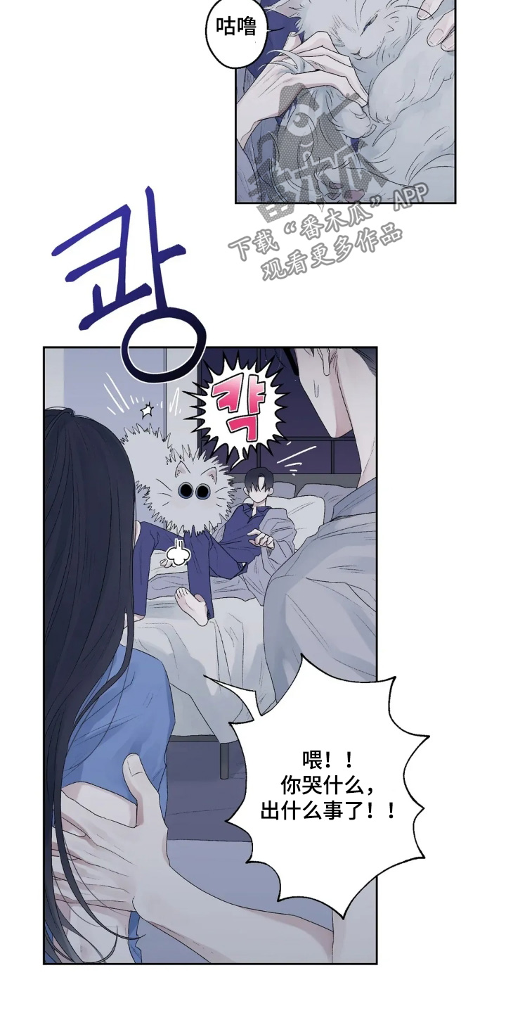 邻夏物语漫画,第39章：回家3图