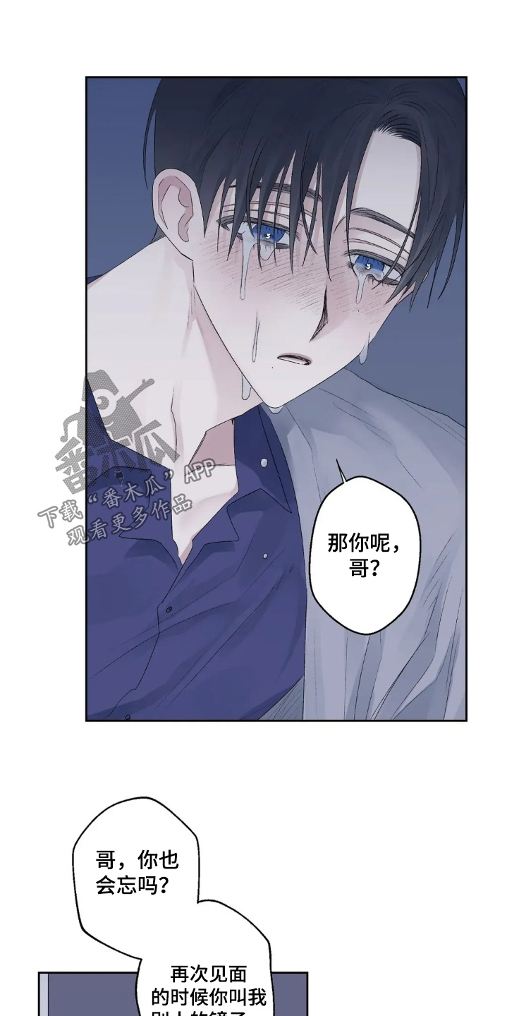 邻夏物语漫画,第43章：最喜欢你了3图