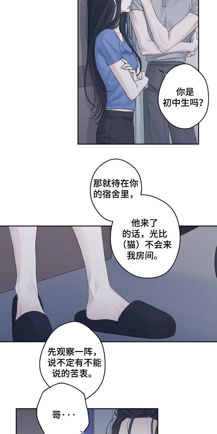 邻夏物语漫画,第39章：回家1图