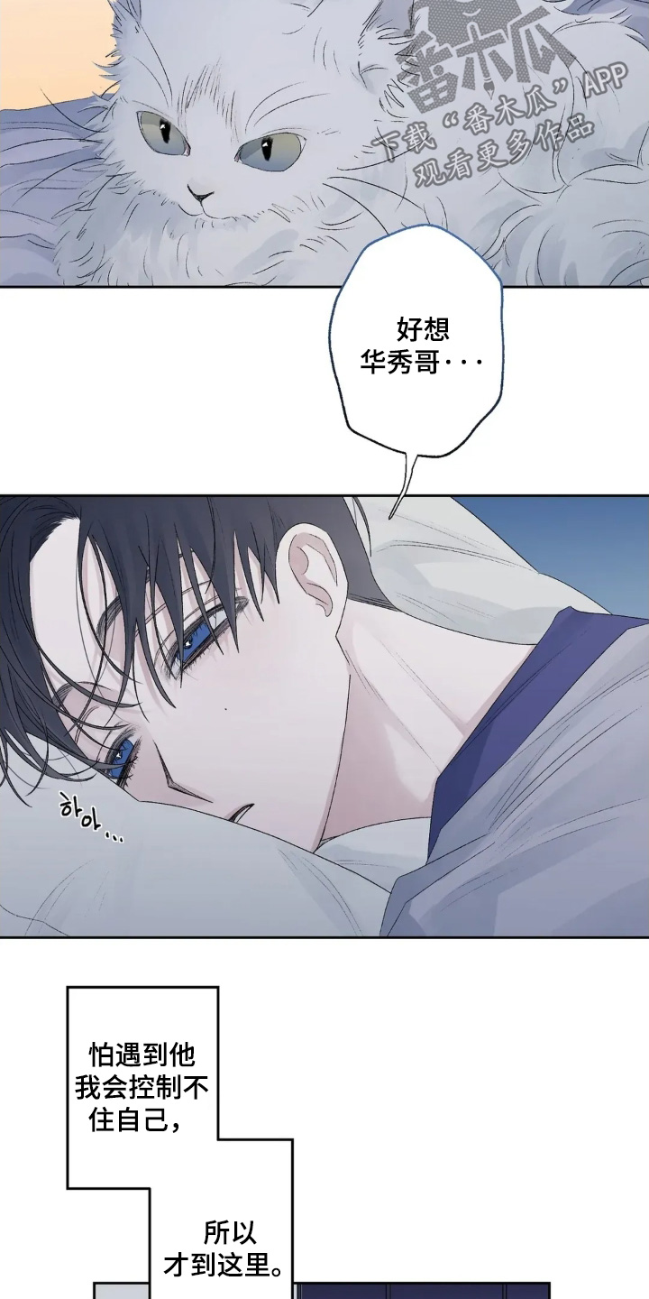 邻夏物语漫画,第39章：回家2图