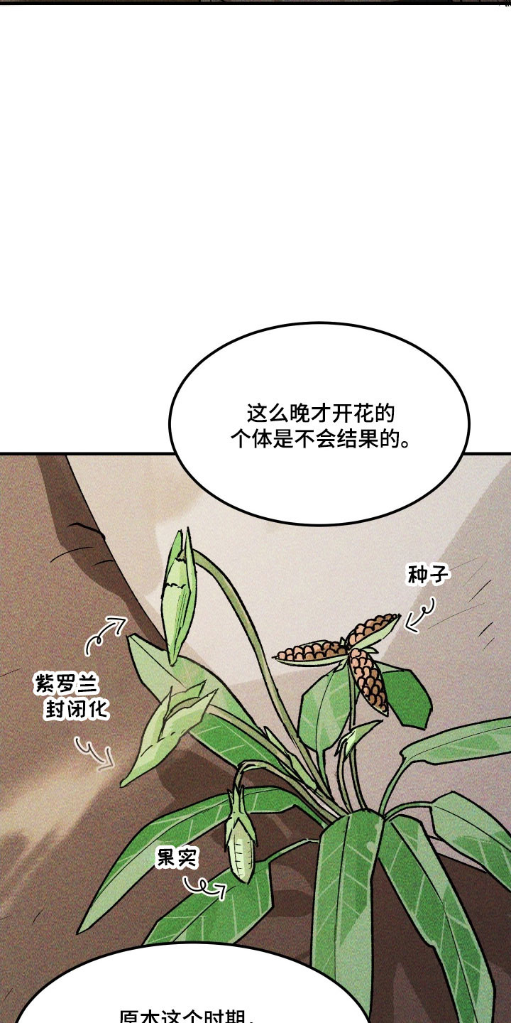 紫罗兰协议漫画,第35章：无情捏碎5图