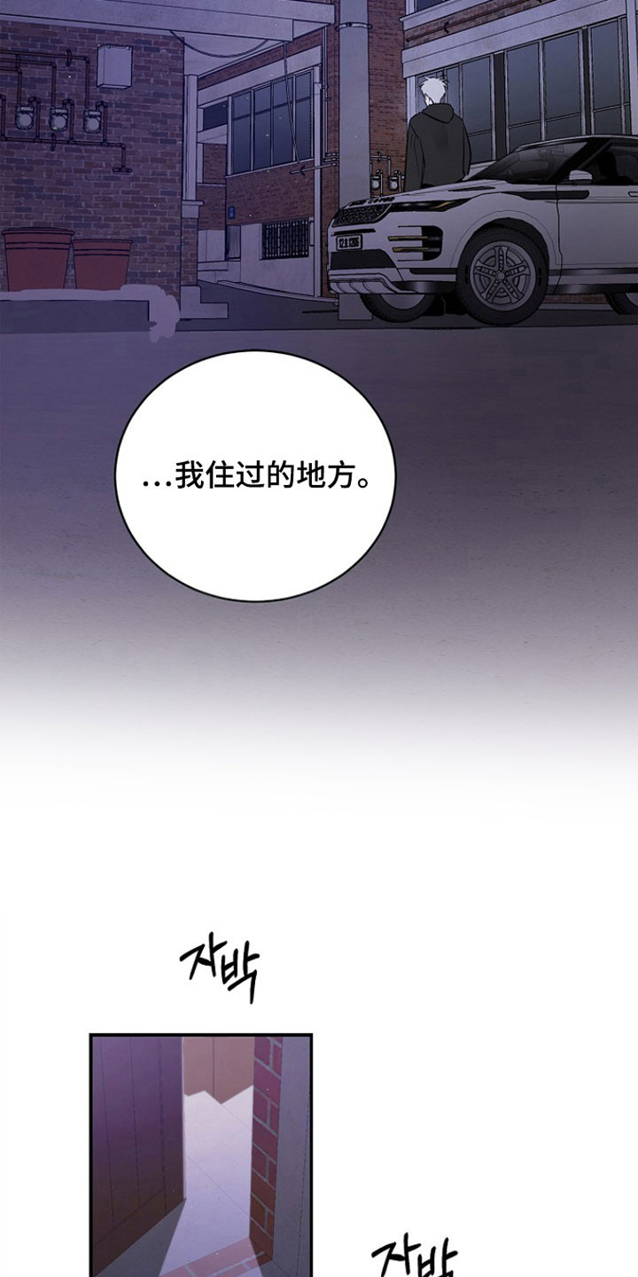 夜雾罪证漫画,第40章：希望放逐4图
