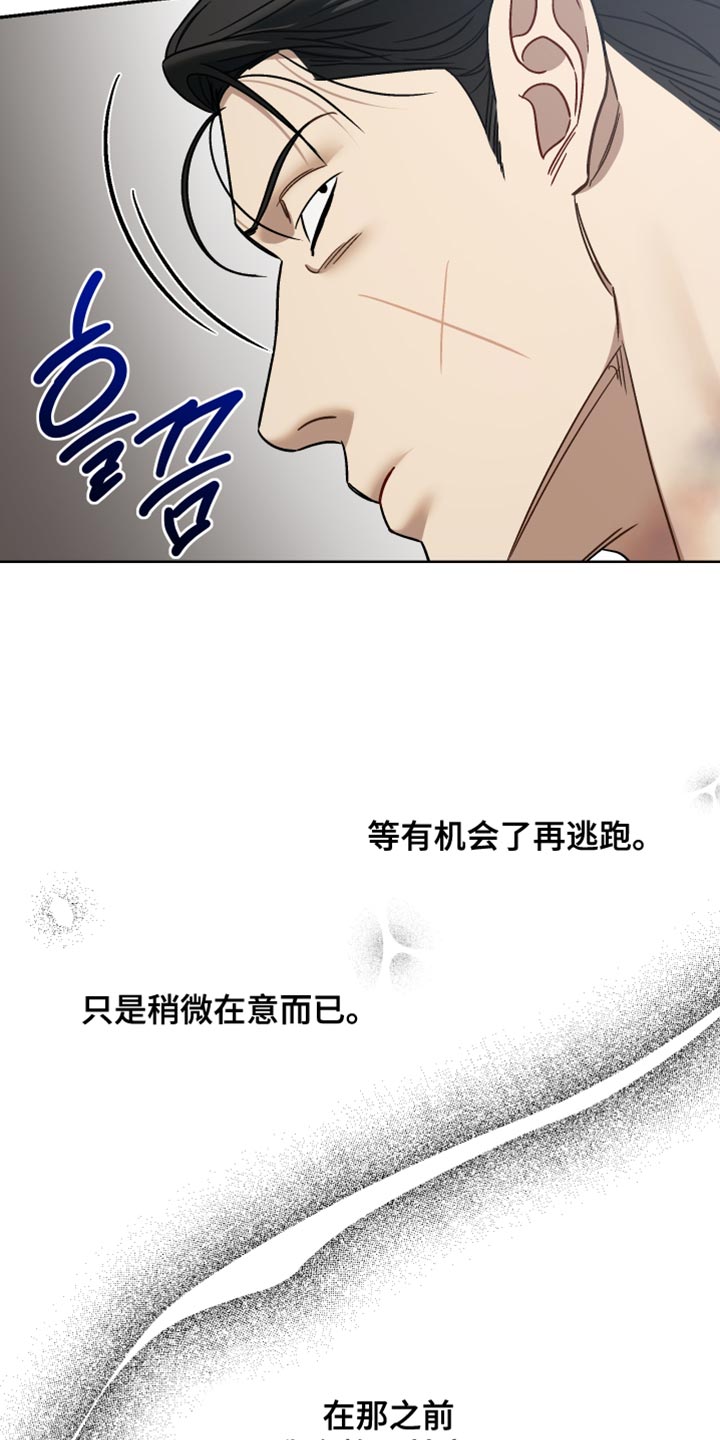 暗码机的工作原理漫画,第54章：【番外】静观其变2图