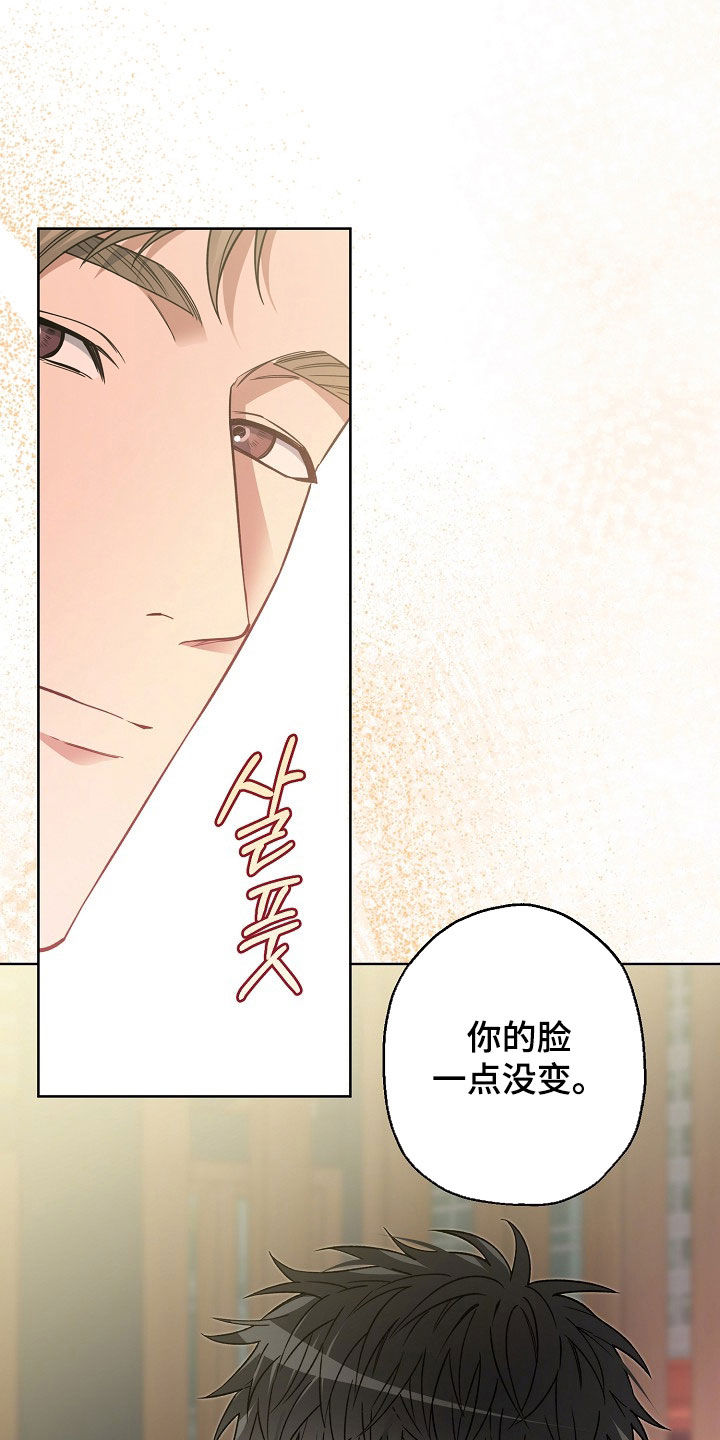 猛兽育儿书漫画,第40章：巧遇5图