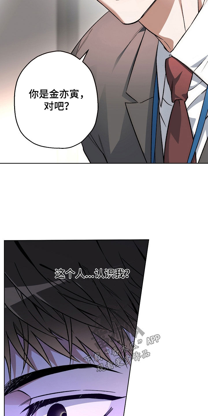 猛兽育儿书漫画,第40章：巧遇2图