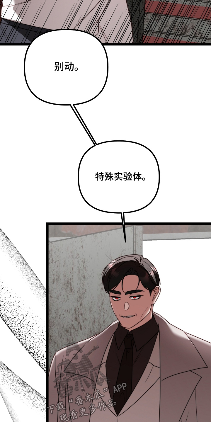 傀儡分流卡组漫画,第67章：特殊实验体3图