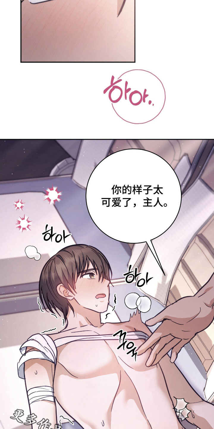 气息觉醒漫画,第42章：我行我素5图