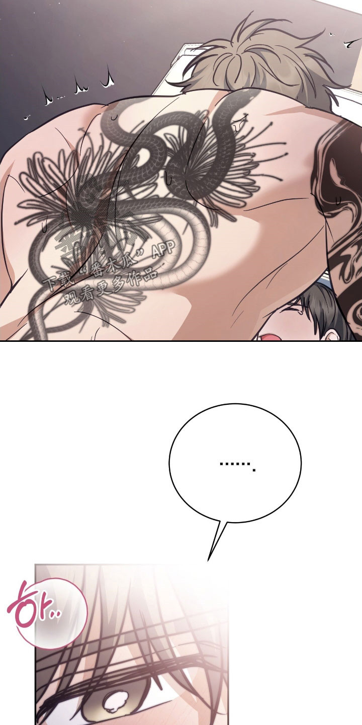 气息觉醒漫画,第42章：我行我素4图