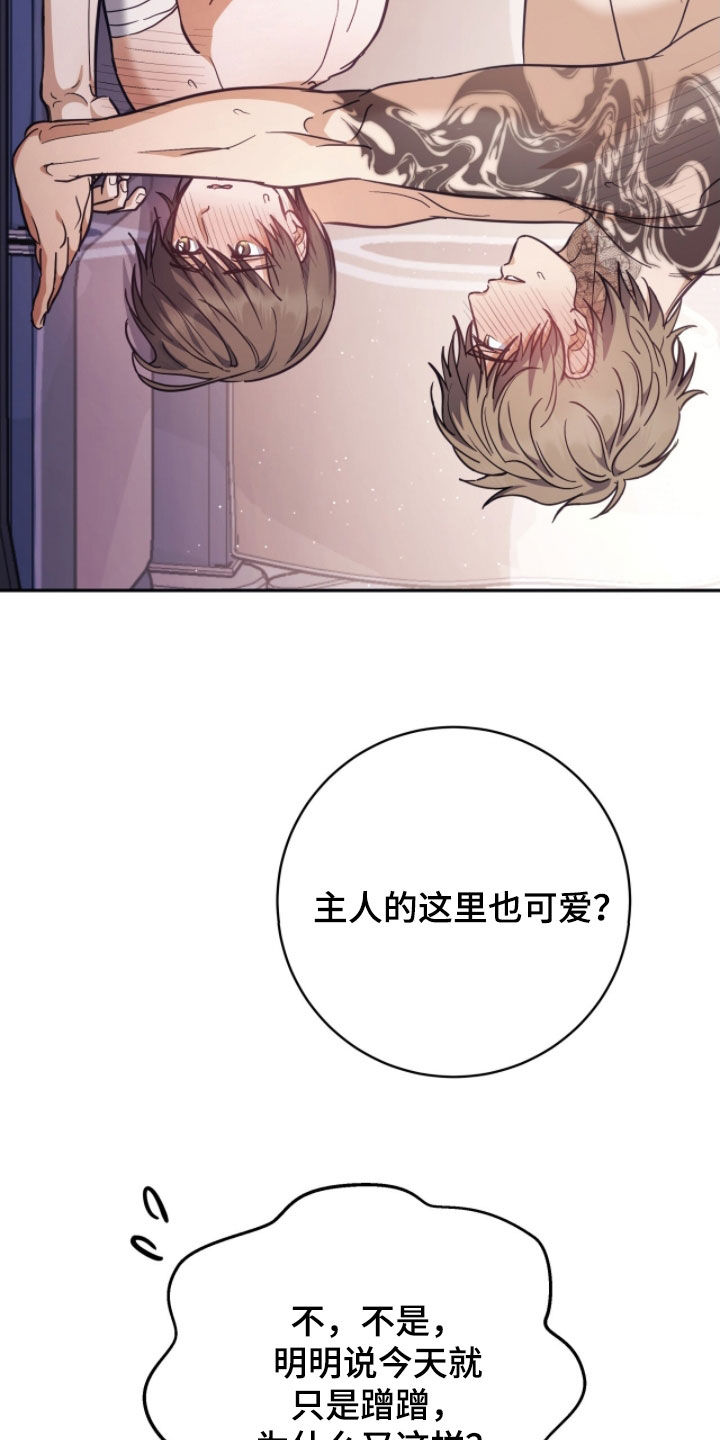 气息觉醒漫画,第43章：最佳的引导2图