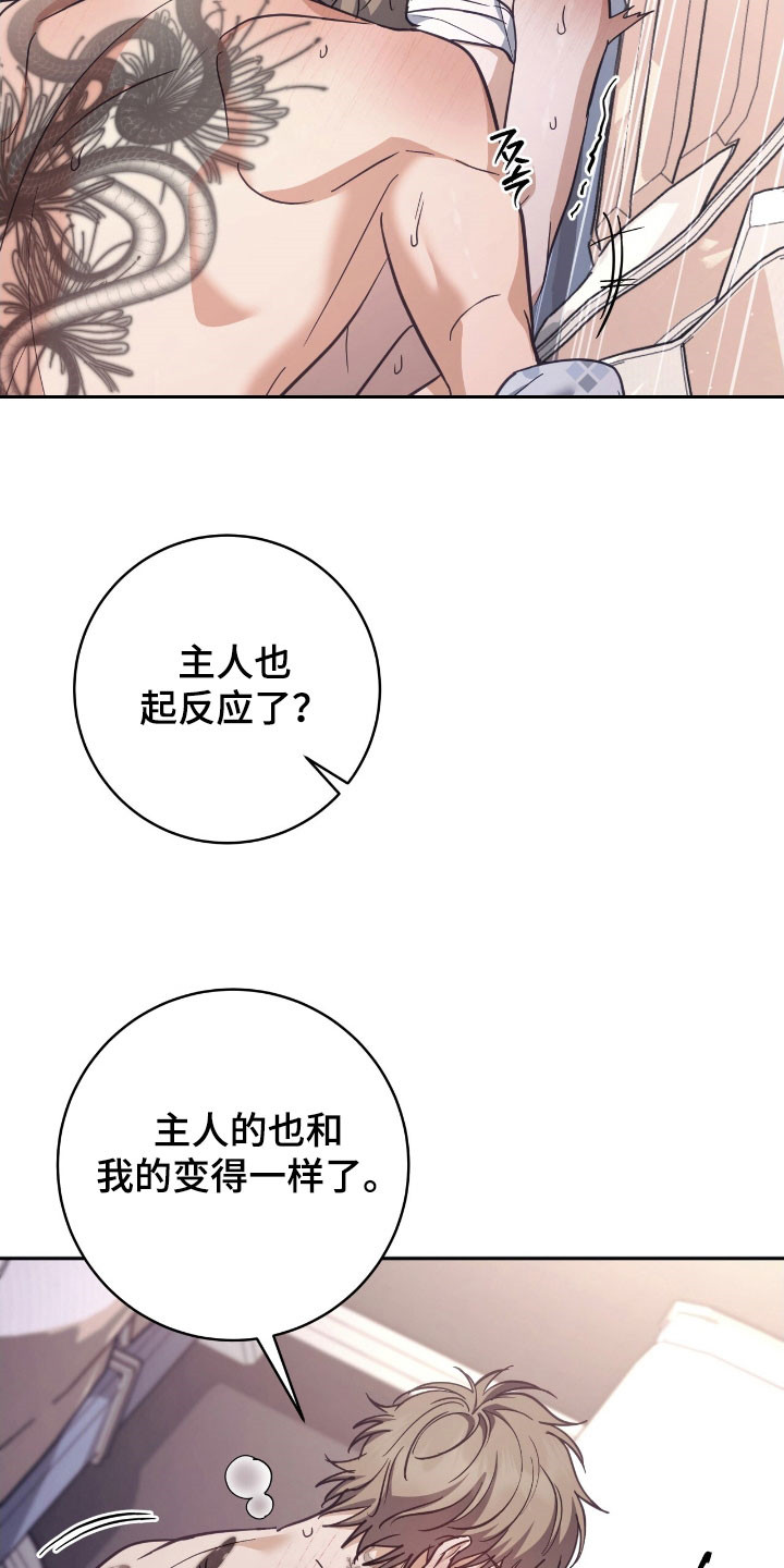 气息觉醒史以俊漫画,第42章：我行我素1图