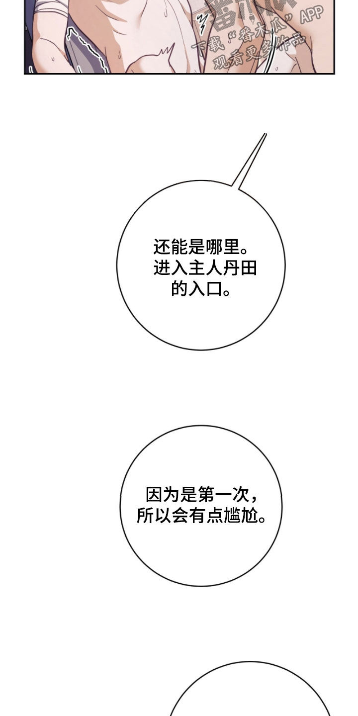 气息觉醒漫画,第43章：最佳的引导3图