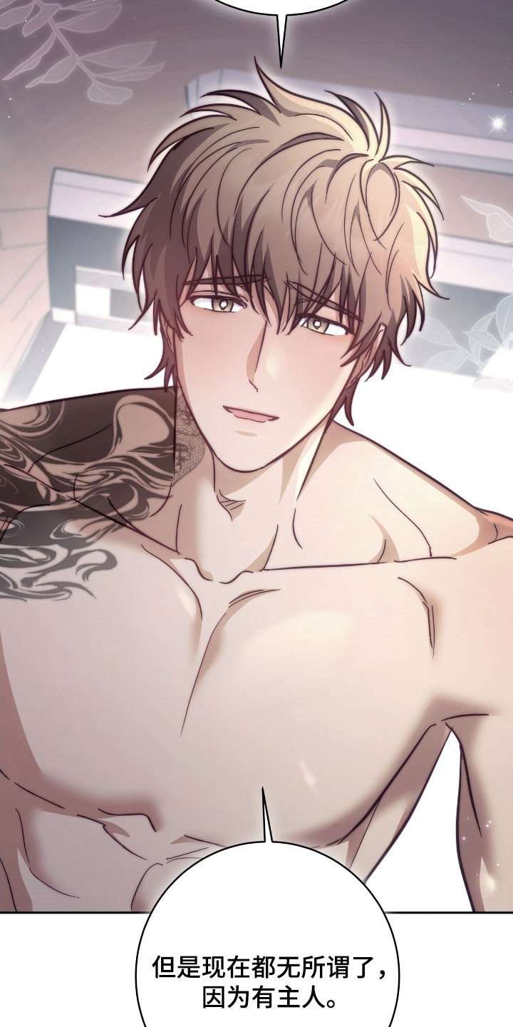 气息觉醒漫画,第42章：我行我素1图