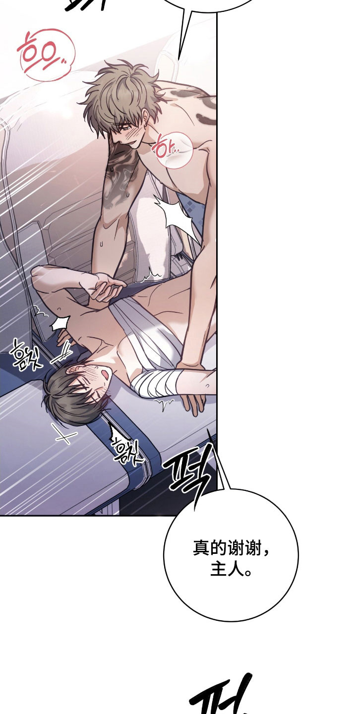 气息觉醒史以俊漫画,第41章：好感动4图