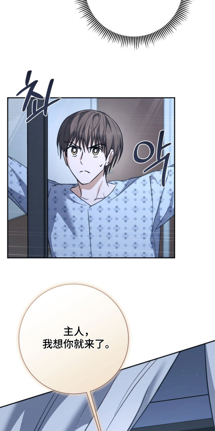 气息之间解密漫画,第47章：想你就来了1图