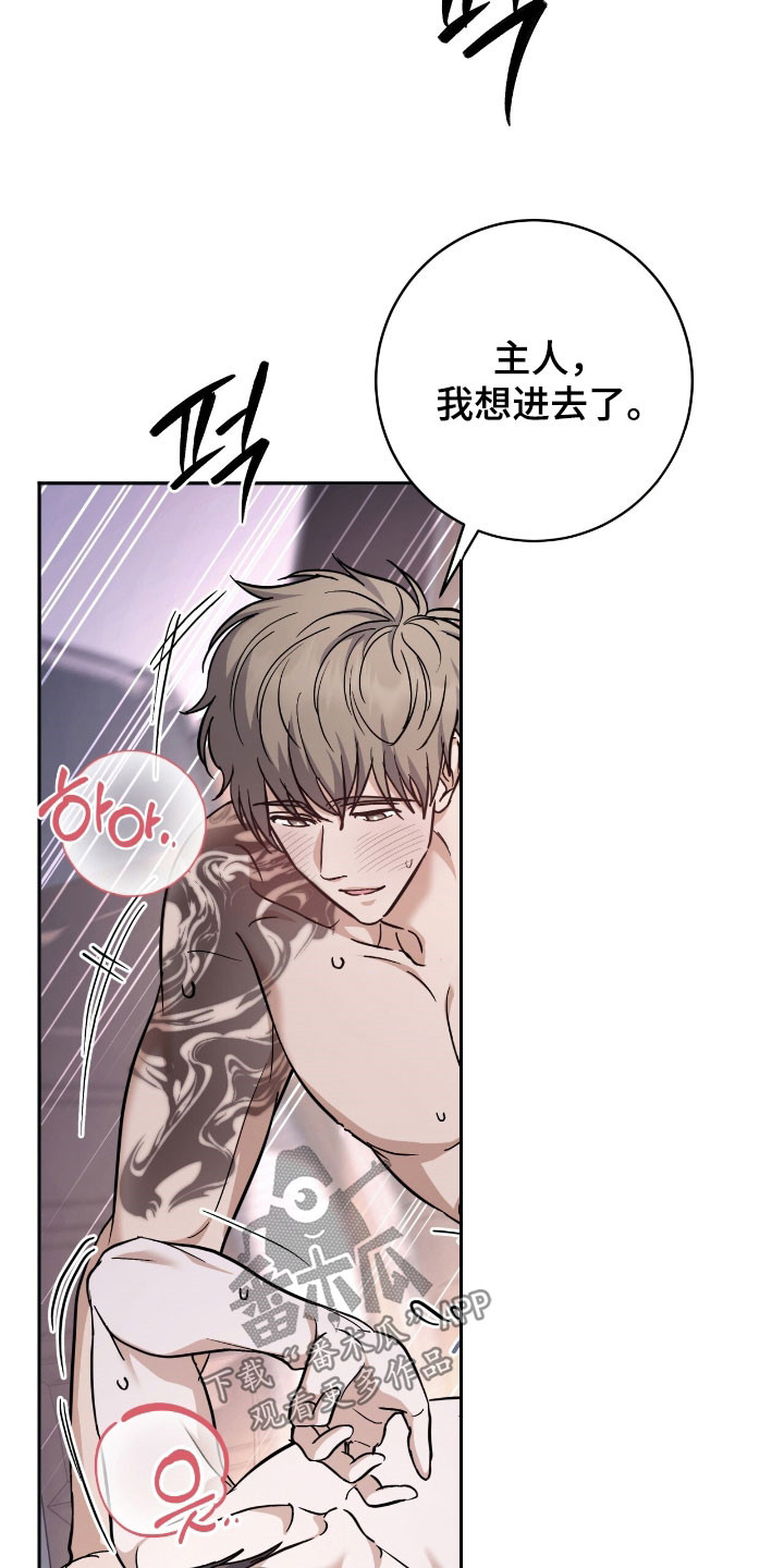 气息觉醒史以俊漫画,第41章：好感动5图