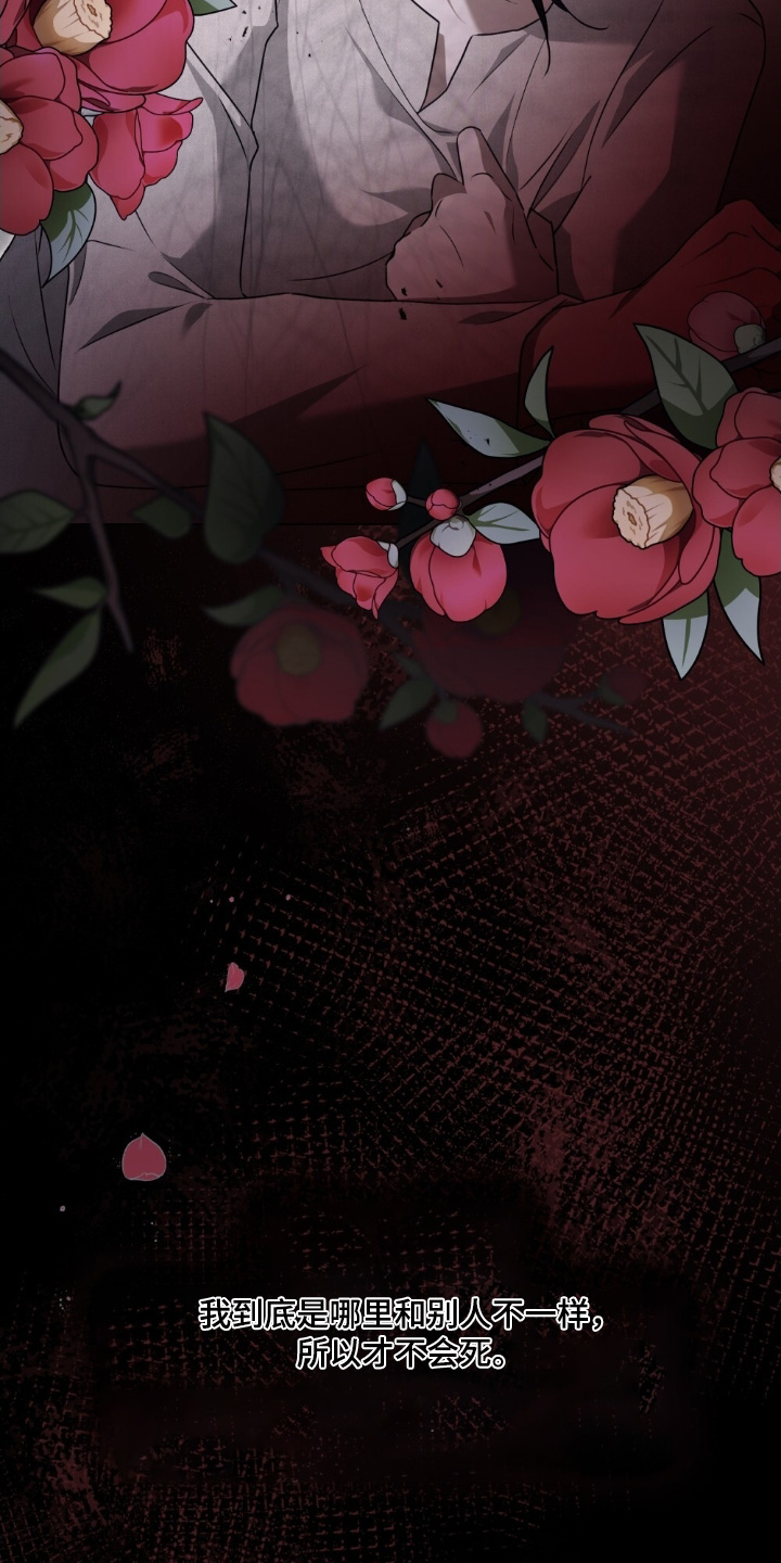 怪物小姐与圣骑士更新漫画,第55章：象征3图