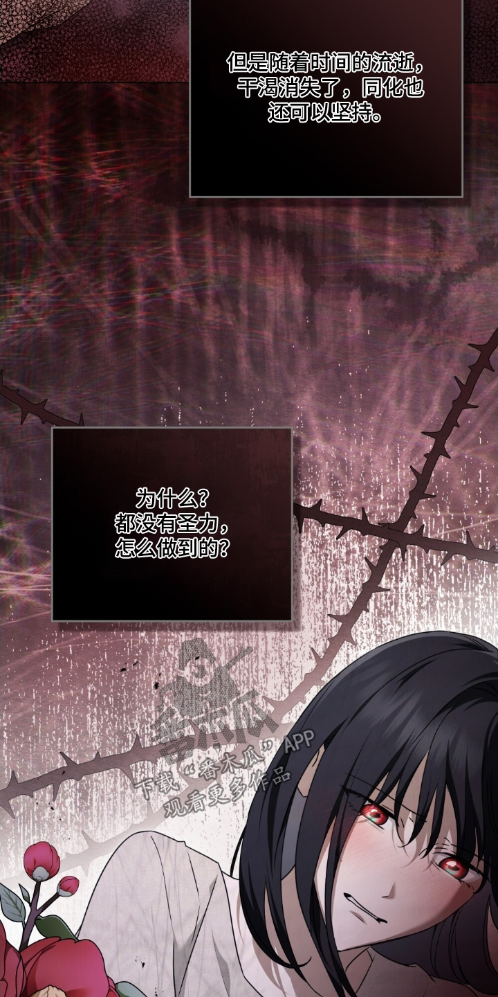 怪物小姐与圣骑士更新漫画,第55章：象征2图