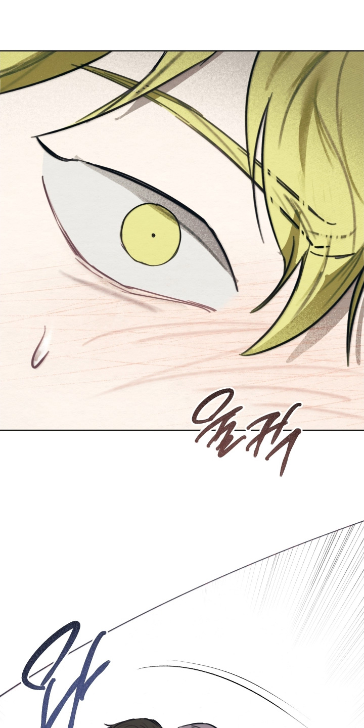 我的完美老婆总裁漫画,第52章：害怕2图