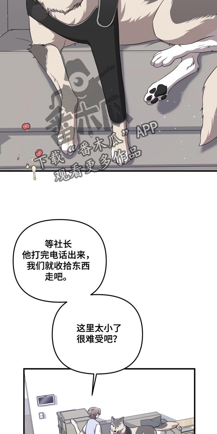 猛宠旧情漫画,第66章：一辈子在一起【完结】5图