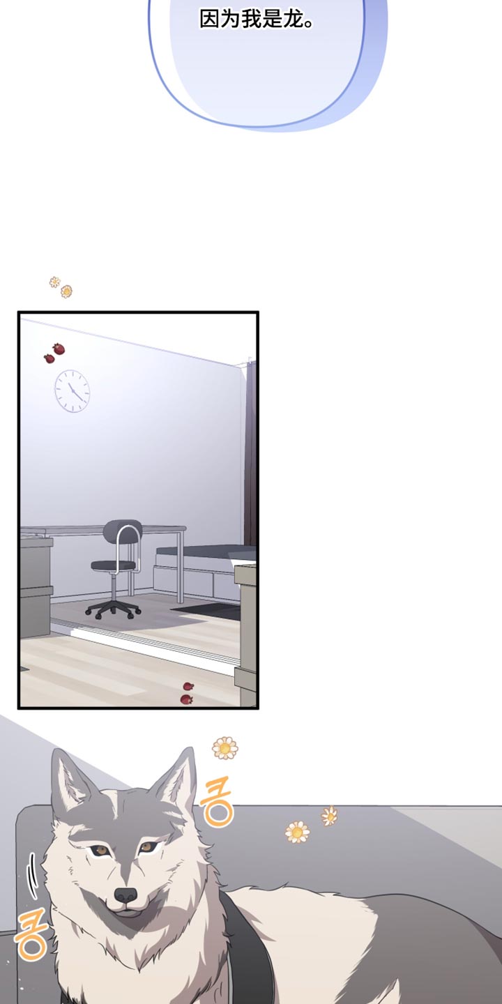 猛宠旧情漫画,第66章：一辈子在一起【完结】4图