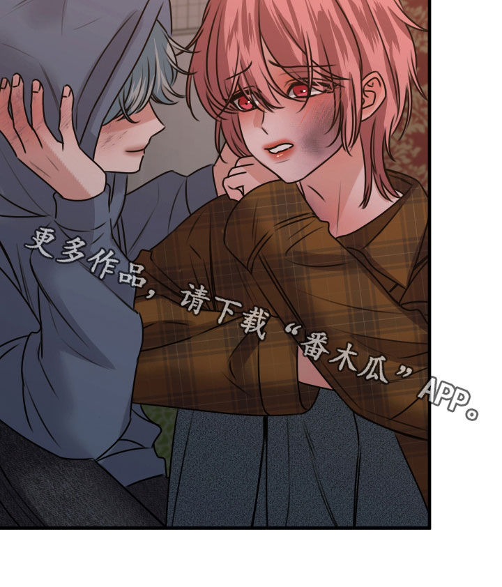 我是完美无却的漫画,第55章：全都是谎话5图