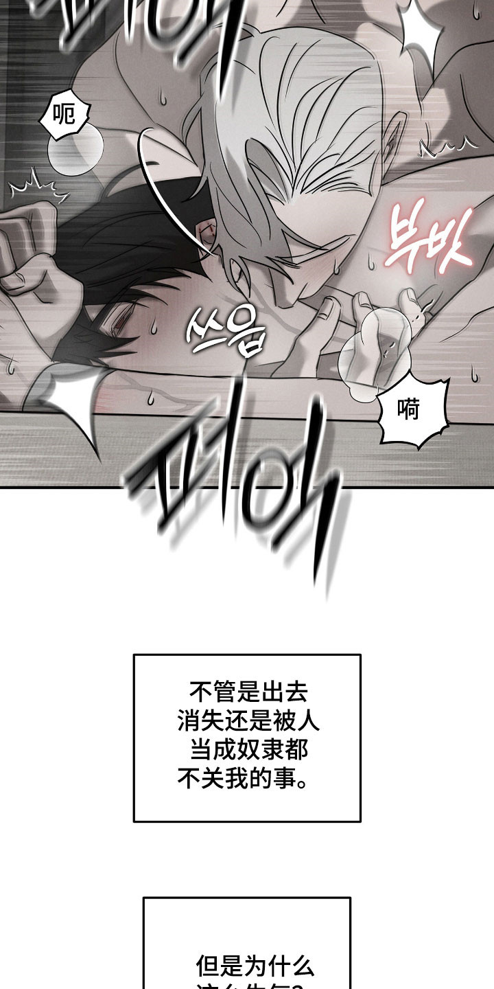 逃离地下室漫画,第47章：毁尸灭迹4图