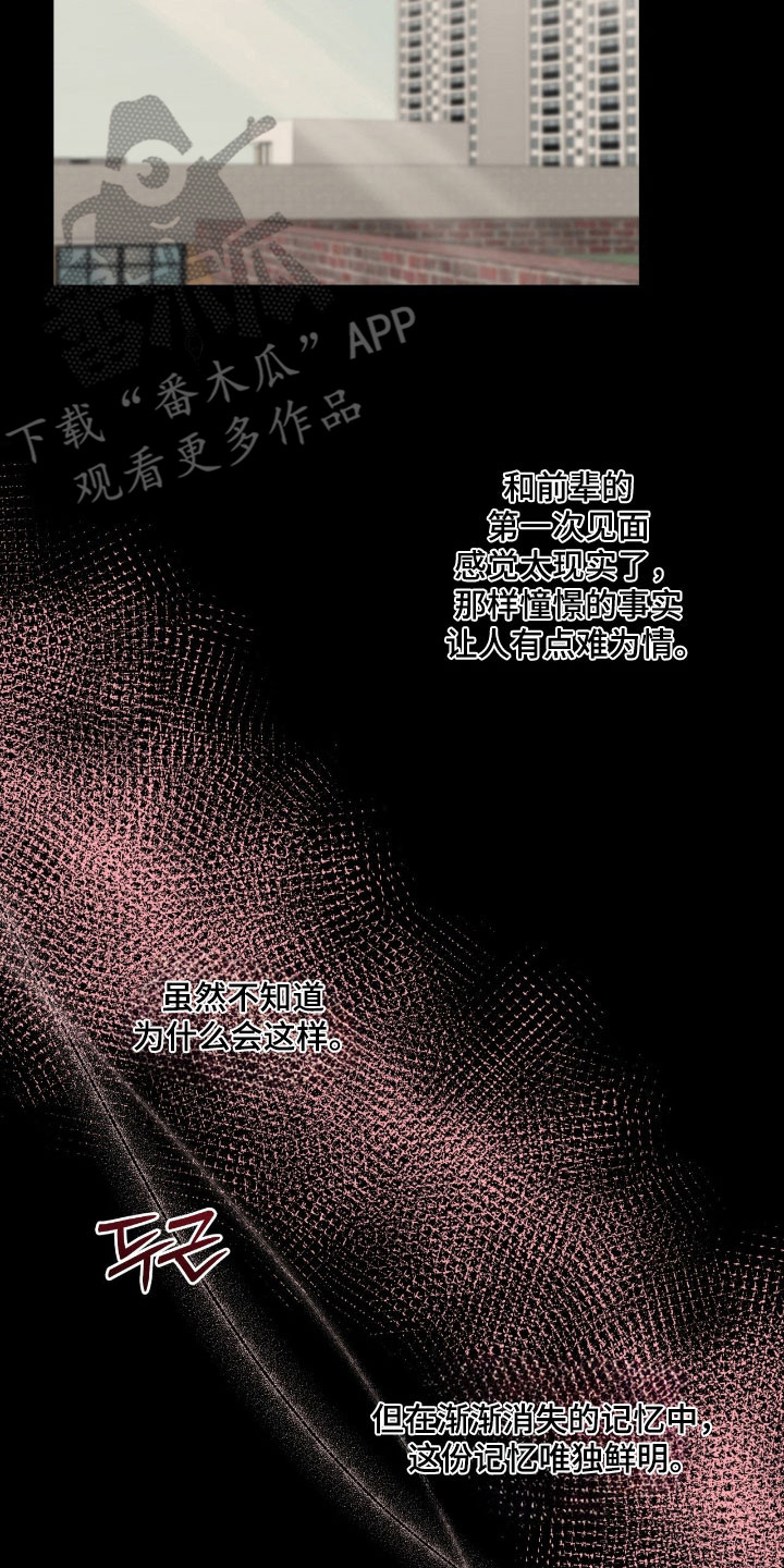 阴暗的地下室养什么鱼漫画,第59章：记忆犹新4图