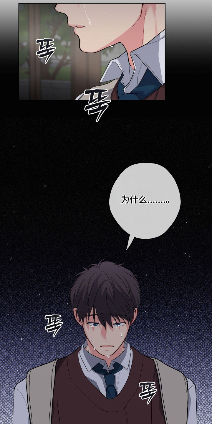 阴暗的是什么意思漫画,第61章：别管我了1图