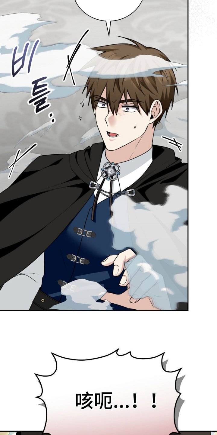 疯批大公玩偶完结了吗漫画,第98章：迷香5图