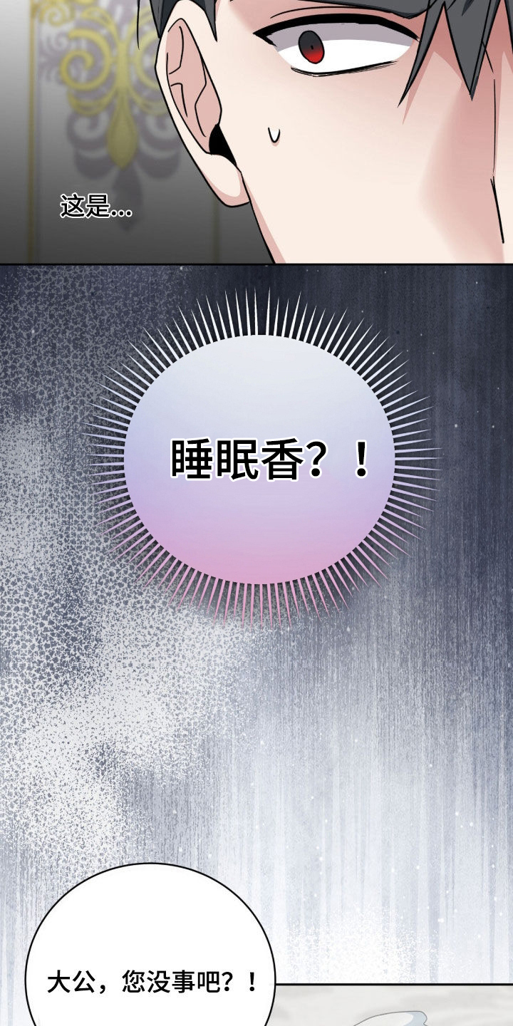 疯批大公玩偶完结了吗漫画,第98章：迷香3图