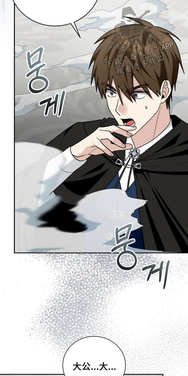 疯批大公玩偶完结了吗漫画,第98章：迷香4图