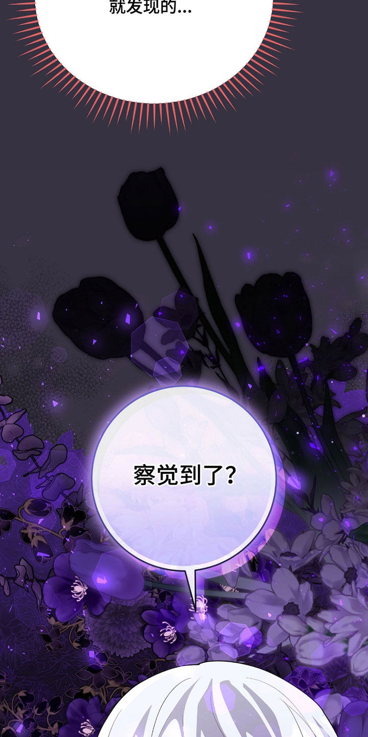 疯批大公的玩偶漫画在现看漫画,第100章：黑魔法师4图