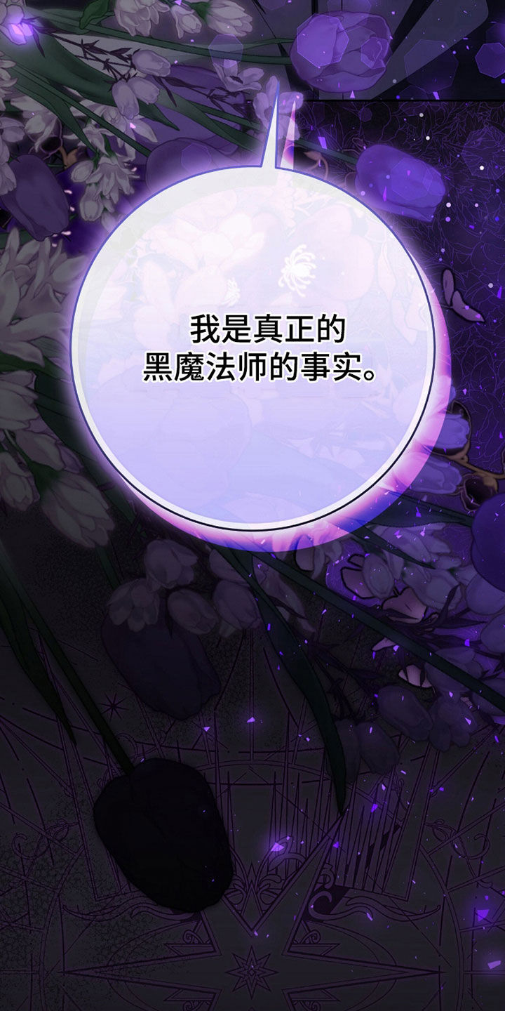 疯批大公的玩偶漫画在现看漫画,第100章：黑魔法师1图