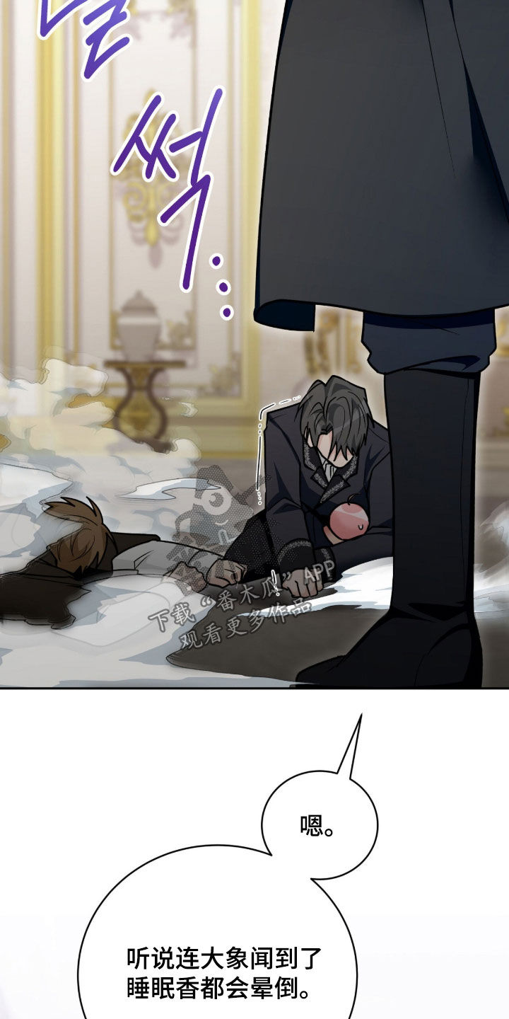 疯批大公玩偶完结了吗漫画,第98章：迷香2图