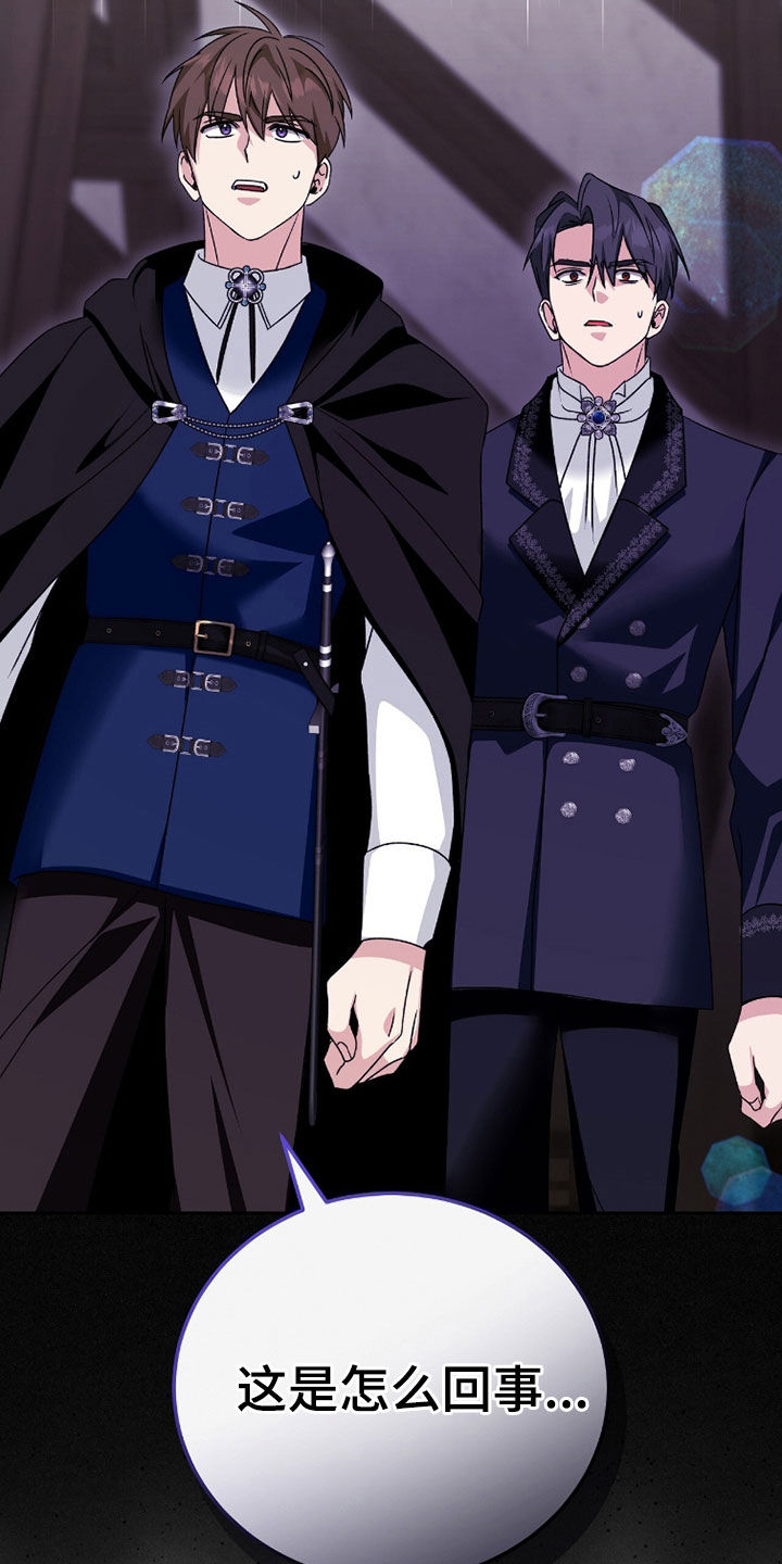 《疯批大公的玩偶》的作者是谁漫画,第95章：询问4图