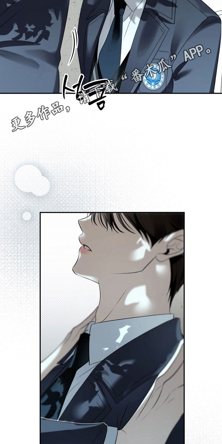 第80章：特殊优待0