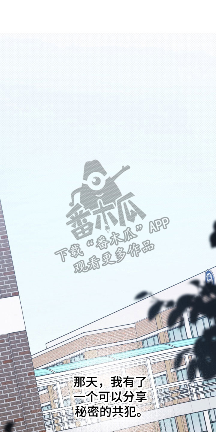 忧郁的视线漫画,第79章：任性蛮狠3图