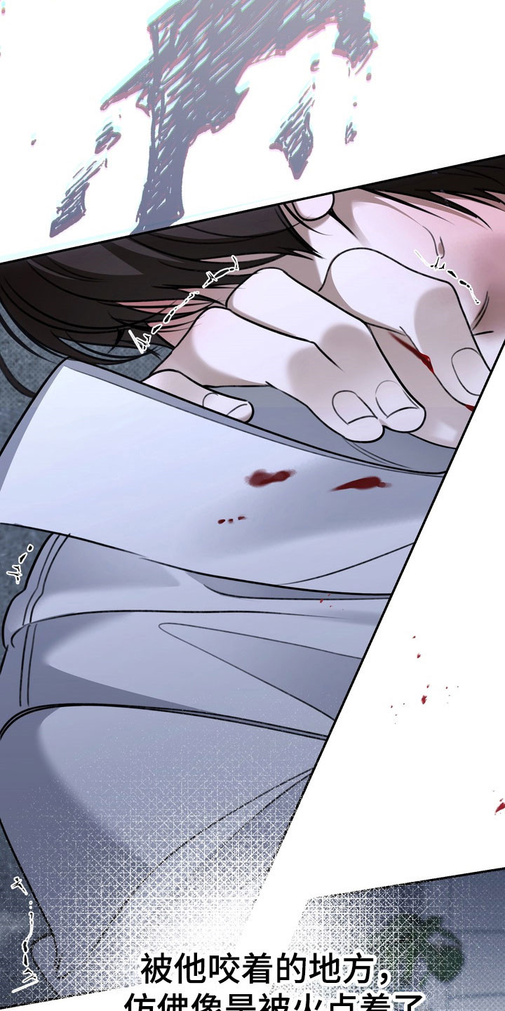 忧郁的视线讲的什么漫画,第88章：这是开始3图