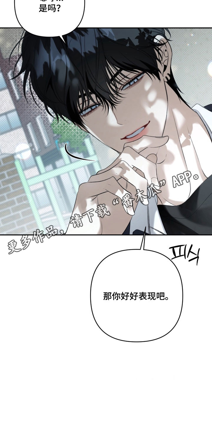 第80章：特殊优待0