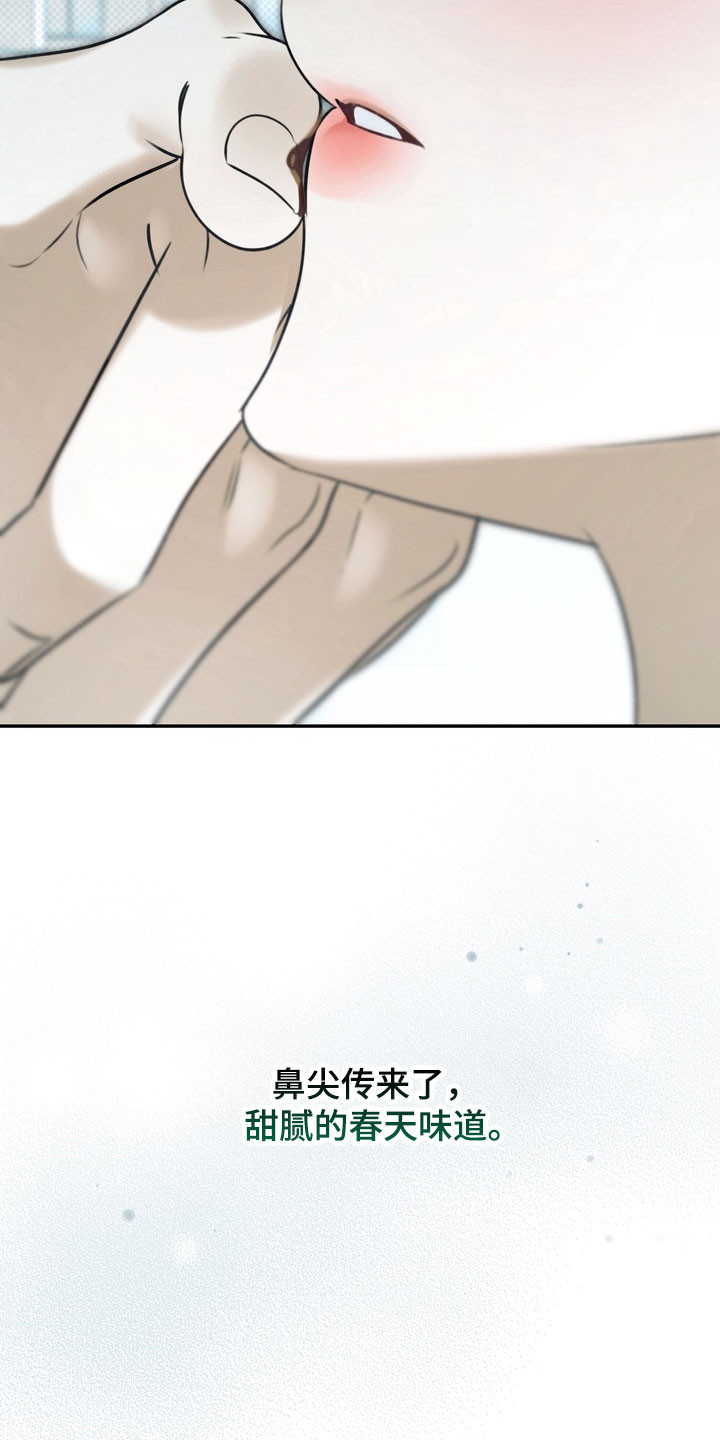 第80章：特殊优待0