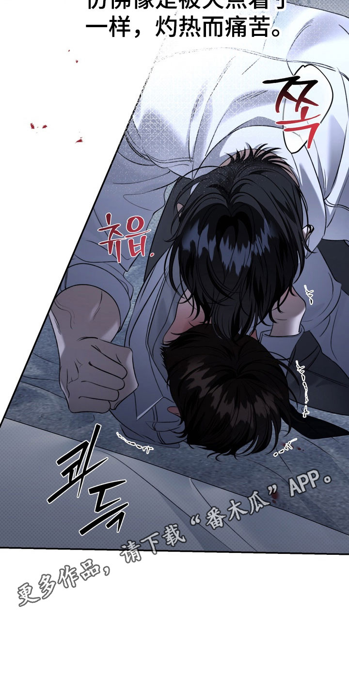 忧郁的视线讲的什么漫画,第88章：这是开始4图