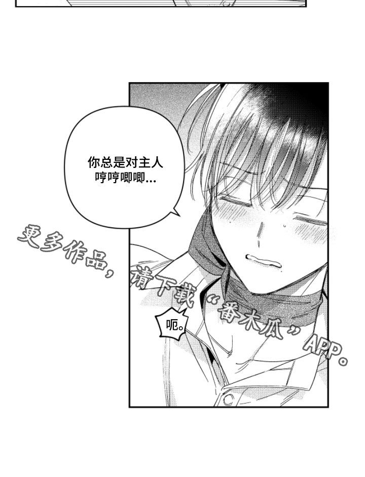 虚假的另一个他漫画免费观看最新章漫画,第55章：【第二季】请原谅我5图