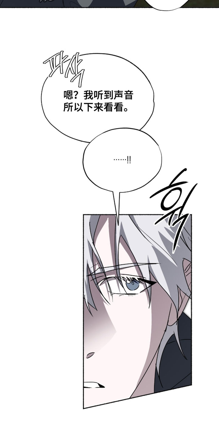 心跳共鸣漫画,第57章：你应该是向导4图