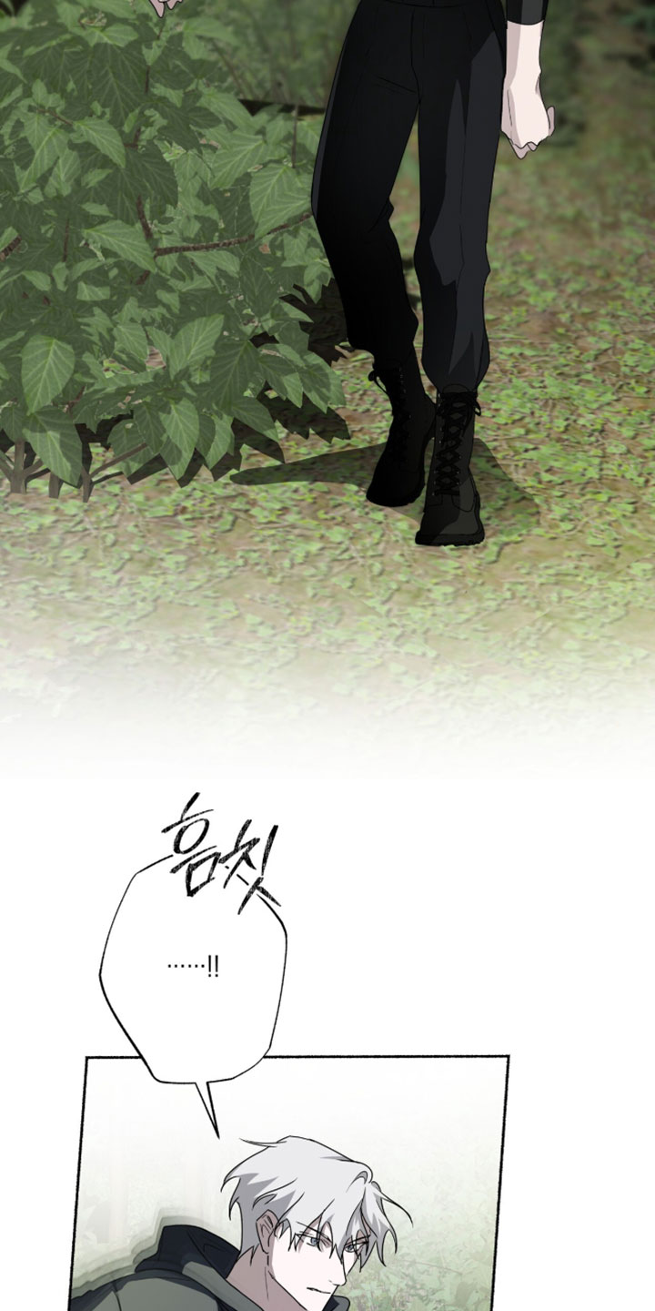 心跳共鸣漫画,第57章：你应该是向导1图