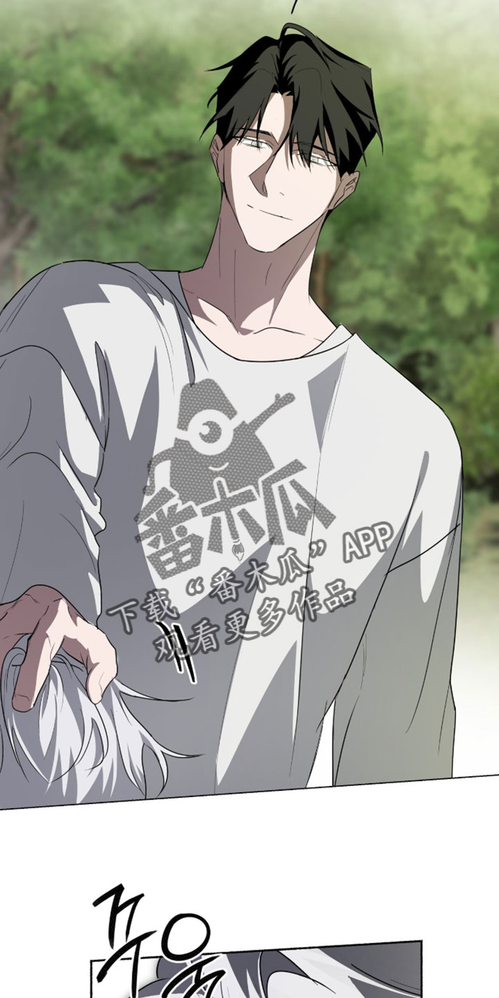 心跳共鸣漫画,第57章：你应该是向导5图