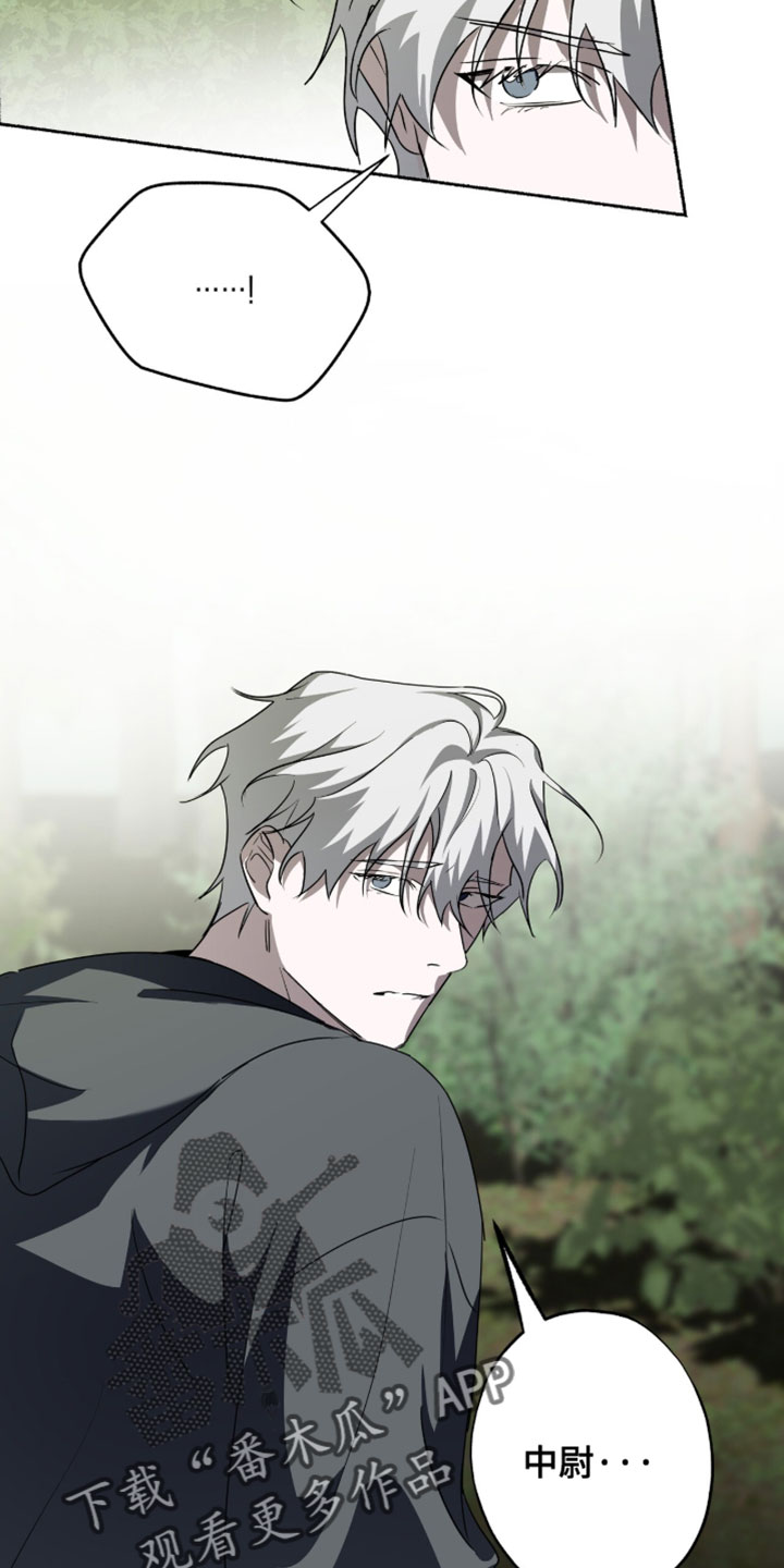 心跳共鸣漫画,第57章：你应该是向导3图